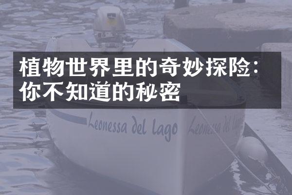 植物世界里的奇妙探险：你不知道的秘密