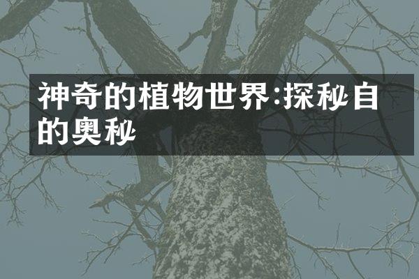 神奇的植物世界:探秘自然的奥秘