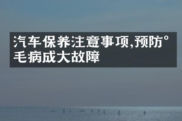汽车保养注意事项,预防小毛病成大故障