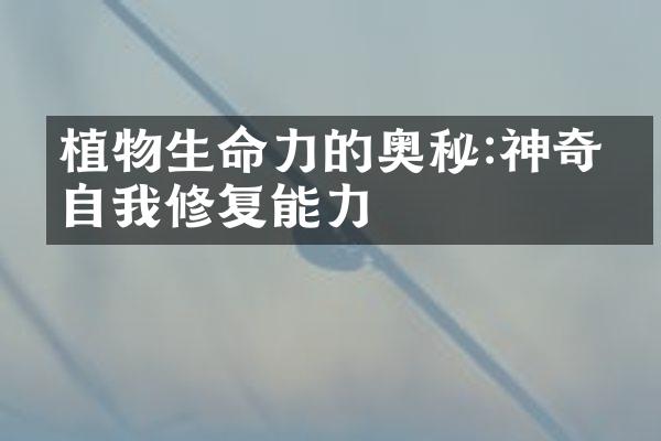 植物生命力的奥秘:神奇的自我修复能力