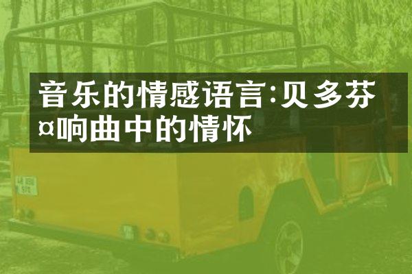 音乐的情感语言:贝多芬交响曲中的情怀