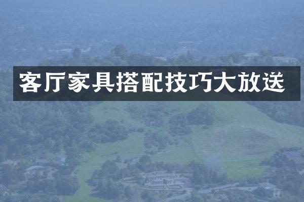 客厅家具搭配技巧大放送