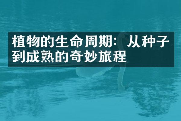 植物的生命周期：从种子到成熟的奇妙旅程