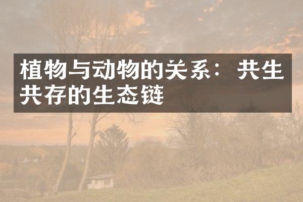植物与动物的关系：共生共存的生态链