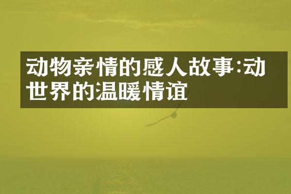 动物亲情的感人故事:动物世界的温暖情谊