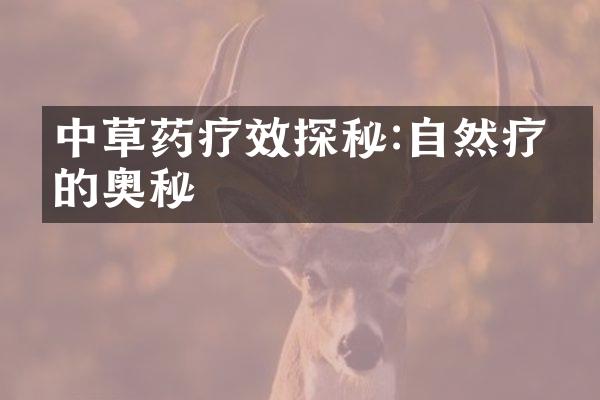 中草药疗效探秘:自然疗愈的奥秘