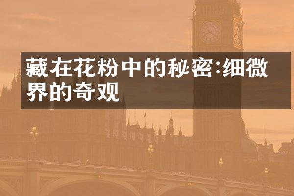 藏在花粉中的秘密:细微世界的奇观