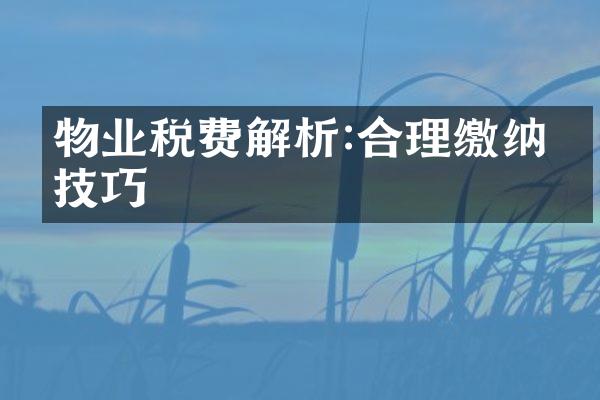 物业税费解析:合理缴纳的技巧