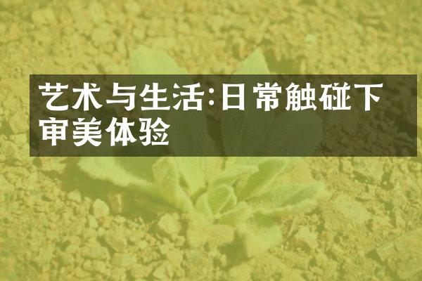 艺术与生活:日常触碰下的审美体验