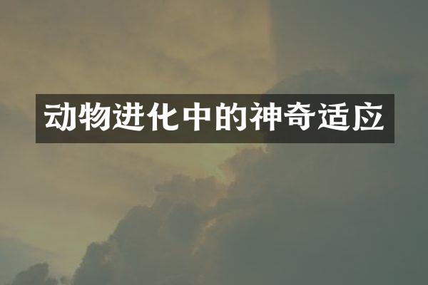 动物进化中的神奇适应