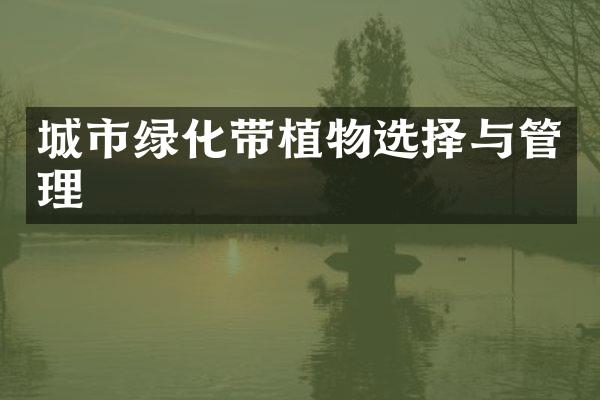 城市绿化带植物选择与管理