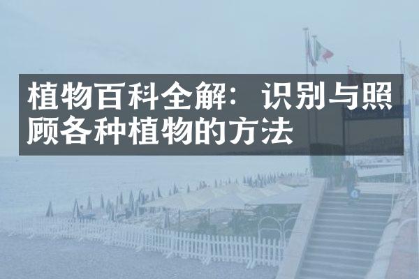 植物百科全解：识别与照顾各种植物的方法