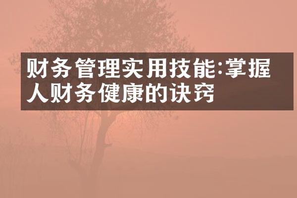财务管理实用技能:掌握个人财务健康的诀窍