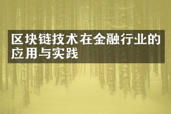 区块链技术在金融行业的应用与实践