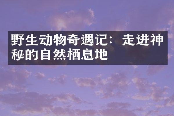 野生动物奇遇记：走进神秘的自然栖息地