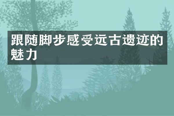 跟随脚步感受远古遗迹的魅力