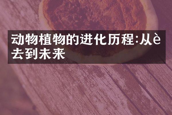 动物植物的进化历程:从过去到未来