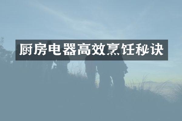 厨房电器高效烹饪秘诀