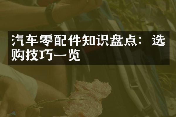 汽车零配件知识盘点：选购技巧一览