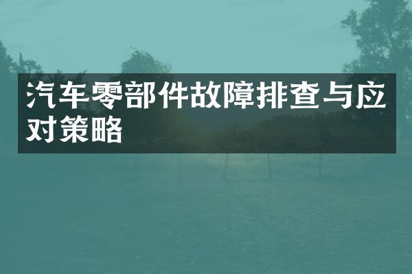 汽车零部件故障排查与应对策略