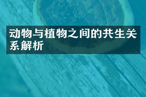 动物与植物之间的共生关系解析