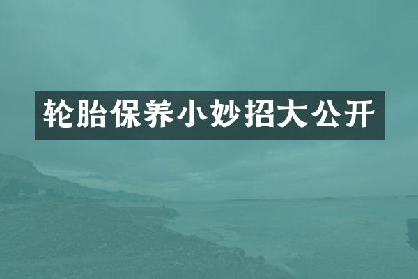 轮胎保养小妙招大公开