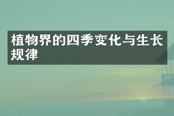 植物界的四季变化与生长规律
