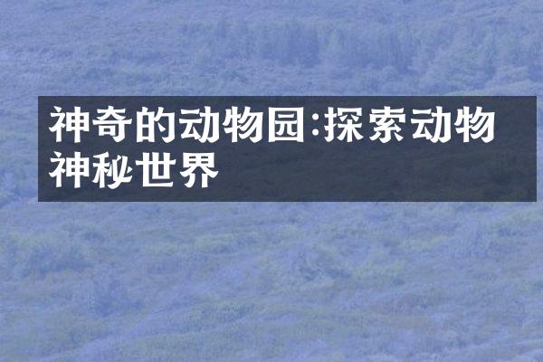 神奇的动物园:探索动物的神秘世界