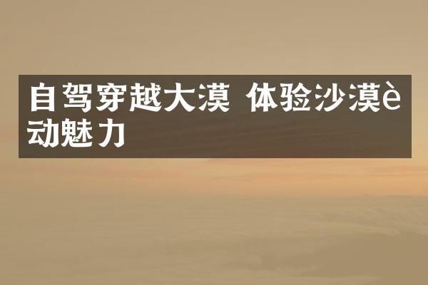 自驾穿越大漠 体验沙漠运动魅力