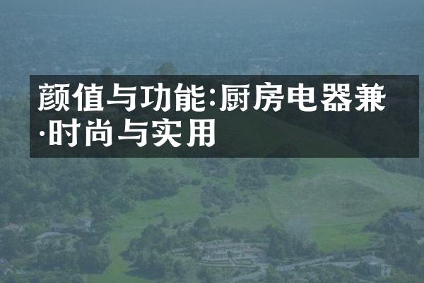 颜值与功能:厨房电器兼具时尚与实用