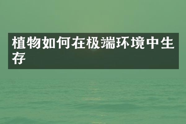 植物如何在极端环境中生存