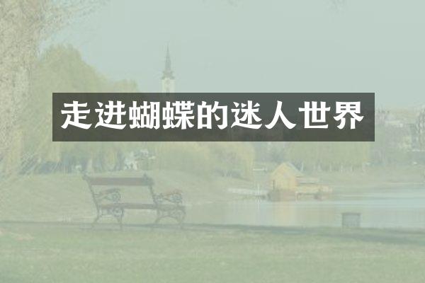 走进蝴蝶的迷人世界