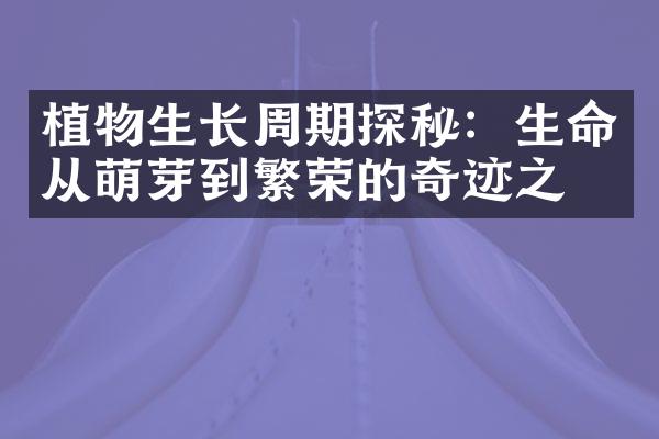 植物生长周期探秘：生命从萌芽到繁荣的奇迹之旅