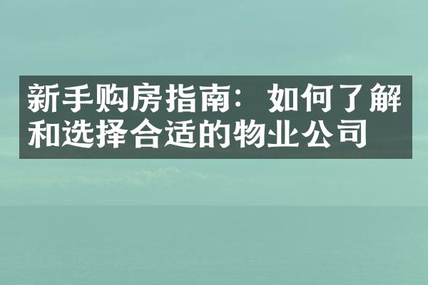 新手购房指南：如何了解和选择合适的物业公司