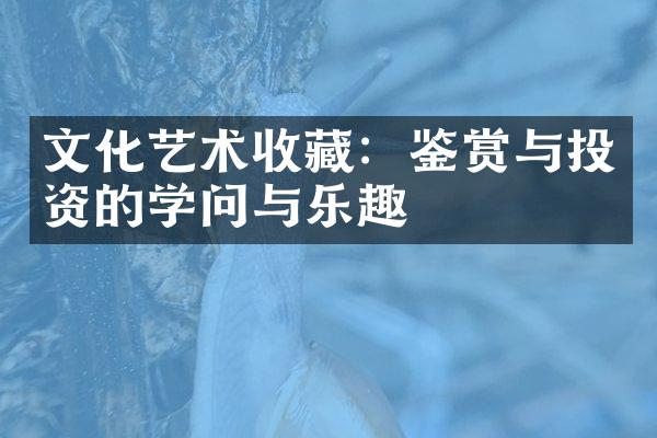 文化艺术收藏：鉴赏与投资的学问与乐趣