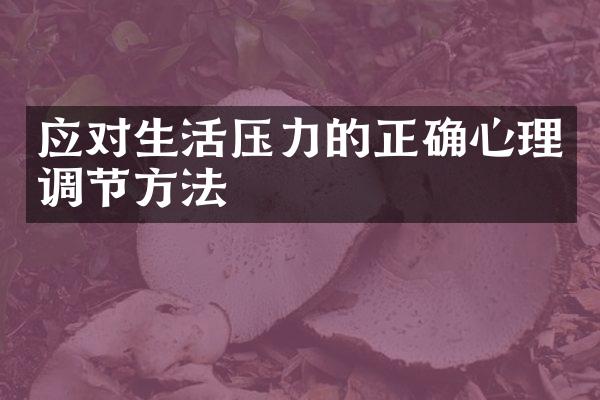 应对生活压力的正确心理调节方法