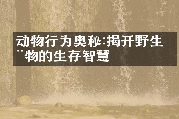 动物行为奥秘:揭开野生动物的生存智慧