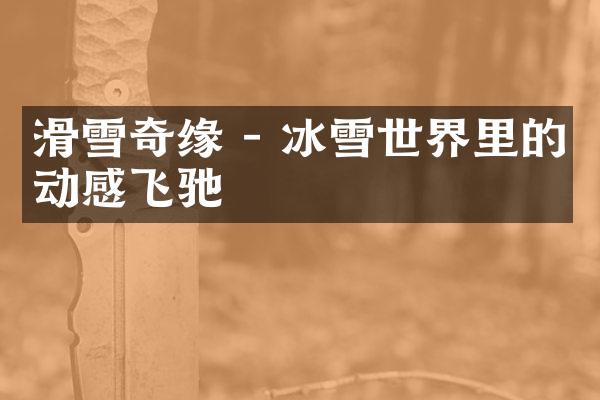 滑雪奇缘 - 冰雪世界里的动感飞驰