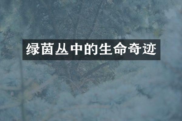 绿茵丛中的生命奇迹