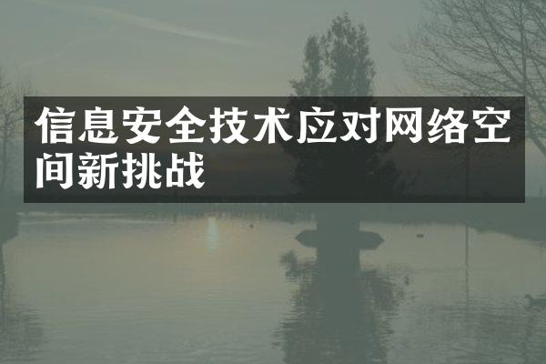 信息安全技术应对网络空间新挑战