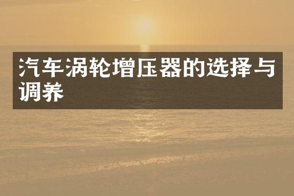 汽车涡轮增压器的选择与调养