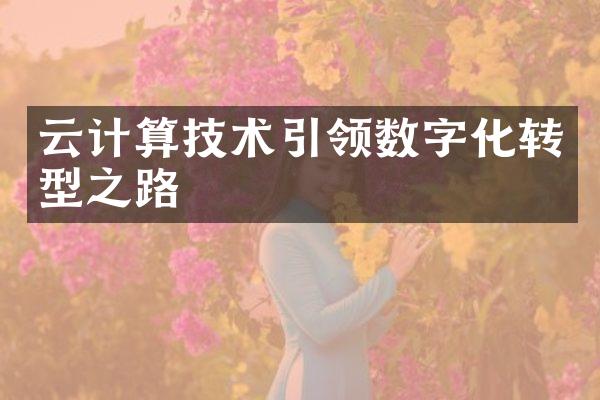 云计算技术引领数字化转型之路