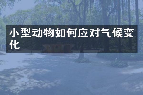 小型动物如何应对气候变化