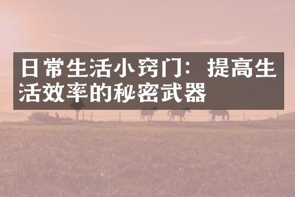 日常生活小窍门：提高生活效率的秘密武器