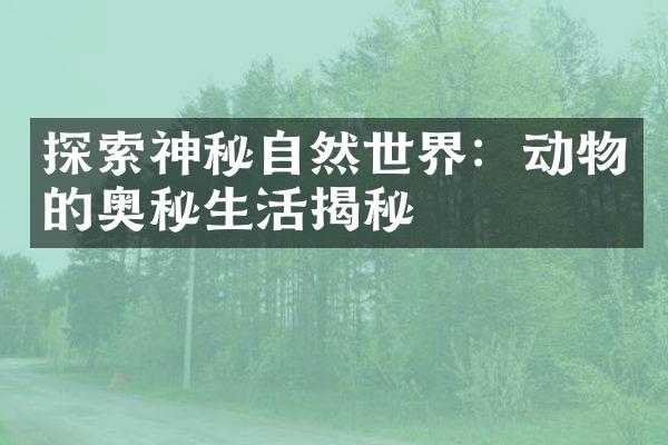 探索神秘自然世界：动物的奥秘生活揭秘