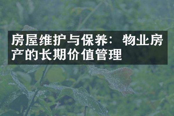 房屋维护与保养：物业房产的长期价值管理