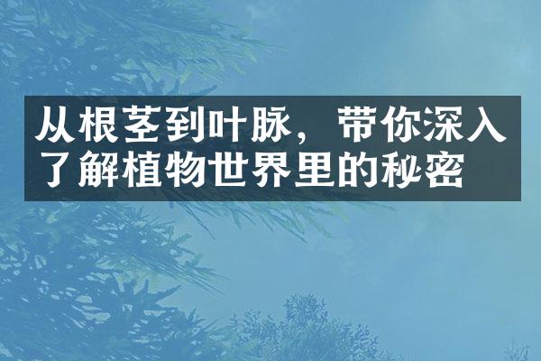 从根茎到叶脉，带你深入了解植物世界里的秘密