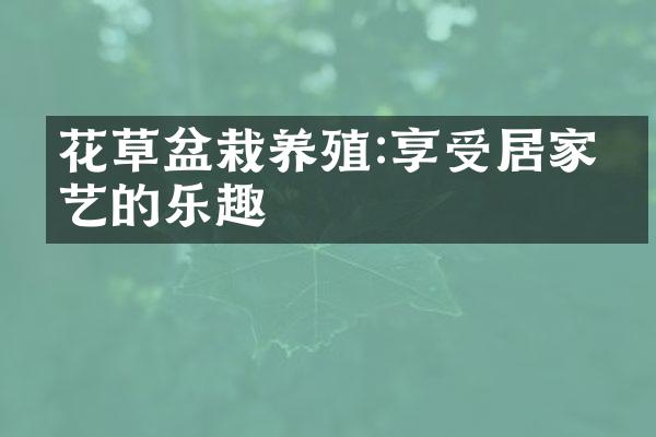 花草盆栽养殖:享受居家园艺的乐趣