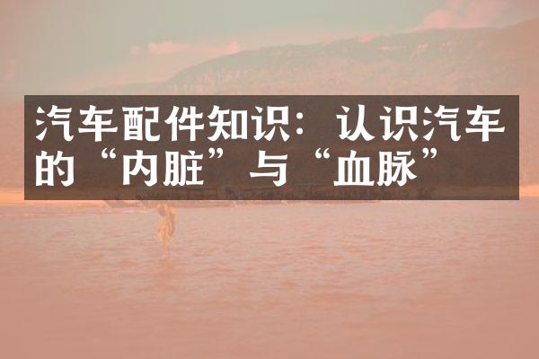汽车配件知识：认识汽车的“内脏”与“血脉”