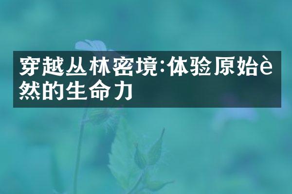 穿越丛林密境:体验原始自然的生命力